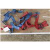 Image 2 : 4 Safety Harneses