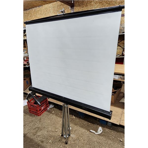 Portable Porjector screen