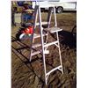 Image 1 : Folding Silver Ladder 59 inches high