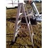 Image 2 : Folding Silver Ladder 59 inches high