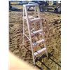 Image 3 : Folding Silver Ladder 59 inches high