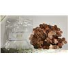 Image 1 : Approx 3lb bag of assorted pennies, from usa & canada - unchecked