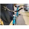 Image 2 : Approx. 101"Tx175"L Norco Sekine SI teal bike