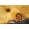 Image 2 : Handcrafted live edge bar/ bottle storage suitable for rustic indoor or solarium use, 35" in height,