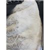 Image 2 : Queen Size Faux Fur Comforter Set - OPEN BOX - SOLD AS IS