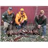 Image 1 : 3-Day Wild Pheasant Hunt for 2 Plus 2 Heros!