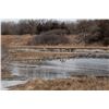 Image 4 : 3-Day & 3-Night Premier Nebraska Waterfowl Hunt