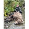 Image 2 : 2023 - 10-Day Brown Bear Hunt in Alaska with Rick and Denise Grant