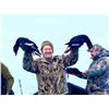 Image 3 : 3-Day Collector Trip for Seaducks and Divers in the Pacific Northwest for 4 Hunters