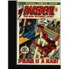Image 29 : Daredevil Collection