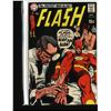 Image 10 : The Flash Collection