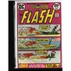 Image 9 : The Flash Collection