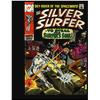 Image 3 : Silver Surfer Collection