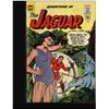 Image 4 : Adventures Of The Jaguar Collection