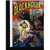Image 7 : Blackhawk Collection