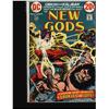 Image 10 : The New Gods Collection