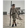 Image 1 : Star Wars: The Force Awakens Daisy Ridley signed movie photo