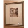 Image 1 : Framed Woodland Sketch Print