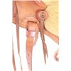 Image 19 : DeVore Saddlery Custom Suede Seat Saddle c. 1980's
