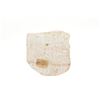 Image 17 : Navajo Hand Carved Alabaster Oreland C. Joe