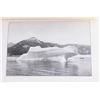 Image 11 : "Travels in Alaska" By John Muir 1st Edition 1915