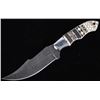 Image 1 : Navajo Pattern Scrimshaw Damascus Knife