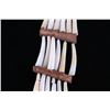 Image 10 : C. 1890 Northern Plains Dentalium Shell Earrings