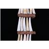 Image 14 : C. 1890 Northern Plains Dentalium Shell Earrings