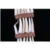 Image 21 : C. 1890 Northern Plains Dentalium Shell Earrings