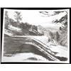 Image 12 : Haynes Yellowstone Park Photograph Collection 1937