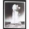 Image 2 : Haynes Yellowstone Park Photograph Collection 1937