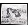 Image 9 : Haynes Yellowstone Park Photograph Collection 1937