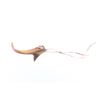 Image 1 : 19th Century Assiniboine Antelope Horn - Sundog