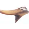 Image 3 : 19th Century Assiniboine Antelope Horn - Sundog