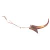 Image 8 : 19th Century Assiniboine Antelope Horn - Sundog