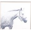 Image 2 : Horse Graphite Etching by Jan Bennett c. 1987