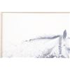Image 3 : Horse Graphite Etching by Jan Bennett c. 1987