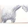 Image 8 : Horse Graphite Etching by Jan Bennett c. 1987
