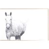 Image 2 : Horse Graphite Etching by Jan Bennett c. 1987