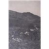 Image 12 : Early Montana Picture Postcards, 1898 - 1938