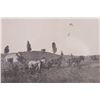 Image 13 : Early Montana Picture Postcards, 1898 - 1938