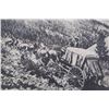Image 15 : Early Montana Picture Postcards, 1898 - 1938