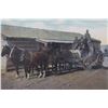 Image 3 : Early Montana Picture Postcards, 1898 - 1938