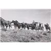 Image 7 : Early Montana Picture Postcards, 1898 - 1938