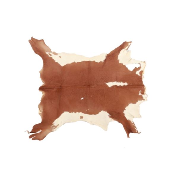 Montana Tanned Hereford Calf Hide Taxidermy