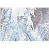 Image 2 : "Snowy Hemlock-Barred Owl" By Robert Bateman