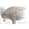 Image 10 : "Gray Wolf" Signed Lithograph By Daniel Van Zyle