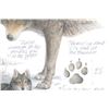 Image 13 : "Gray Wolf" Signed Lithograph By Daniel Van Zyle