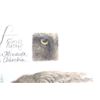 Image 9 : "Gray Wolf" Signed Lithograph By Daniel Van Zyle