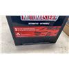 Image 3 : 400 NEW STRAP TIES SIZE 6 AND AUTOMOTIVE BATTERY